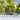 Best garden ergonomic workstatio-malta best ergonomic workstation for garden malta