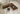 furniture stores near me