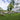 Garden best executive workstation-ergonomic garden workstation malta