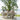 Outdoor dining furniture-malta best outdoor furniture malta
