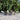 Patio ergonomic wooden summerset-malta ergonomic summerset malta