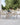 DINING CHAIRS in Malta