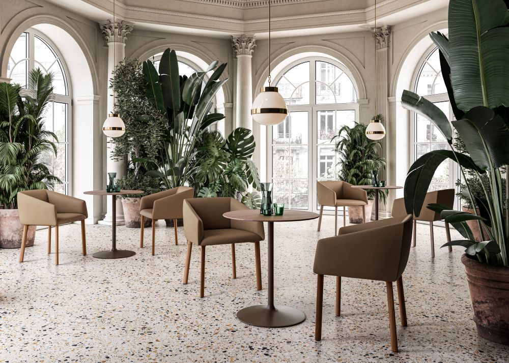 DINING ARM CHAIRS in Malta