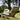 Comfortable garden wooden ergonomic material chair-best malta wooden chair malta