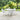 Round outdoor white table-comfortable white chair malta